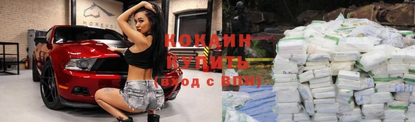 молекула духа Гусиноозёрск