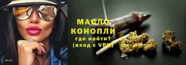 молекула духа Гусиноозёрск