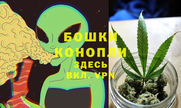 молекула духа Гусиноозёрск