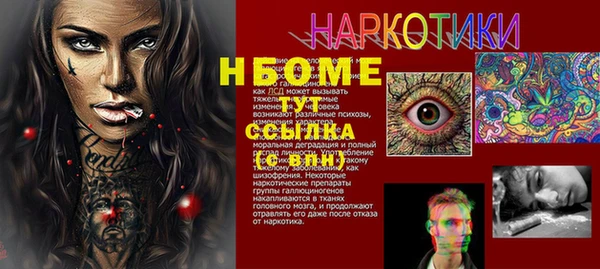 молекула духа Гусиноозёрск