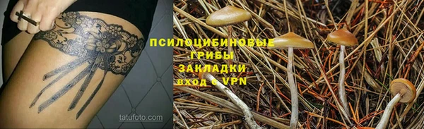 ALPHA PVP Гусь-Хрустальный