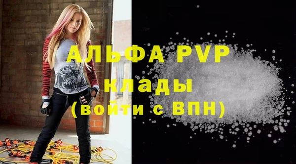 молекула духа Гусиноозёрск