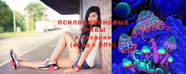 а пвп мука Елизово