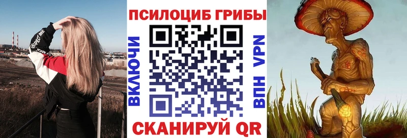 Галлюциногенные грибы Psilocybine cubensis  купить наркотики сайты  Духовщина 